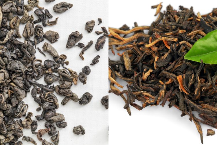 Gunpowder Green Tea vs Green Tea
