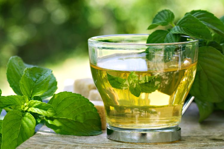 10 Best Spearmint Tea Brands for Natural Wellness