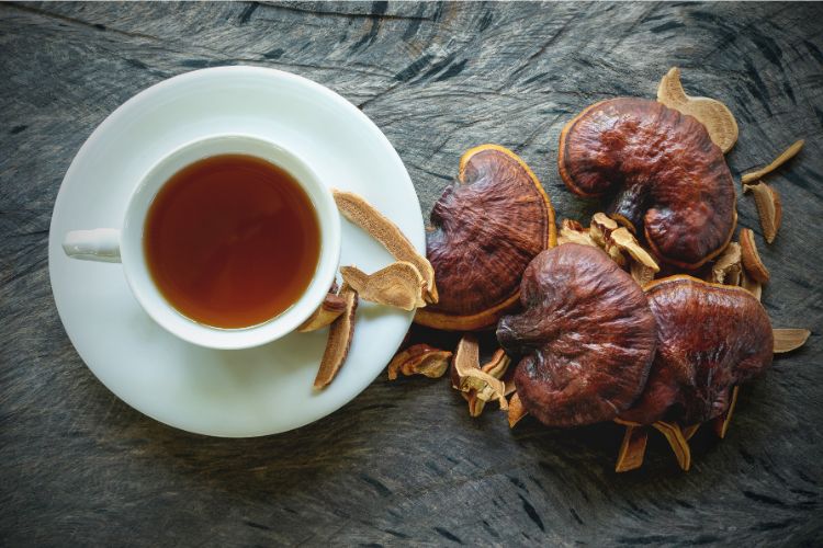 Cup of reishi tea and fresh Lingzhi mushroom.