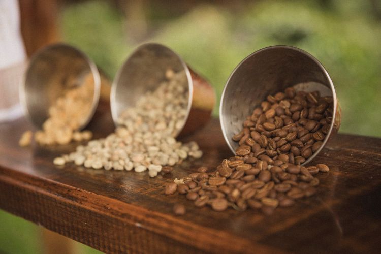 Arabica Green Coffee Beans