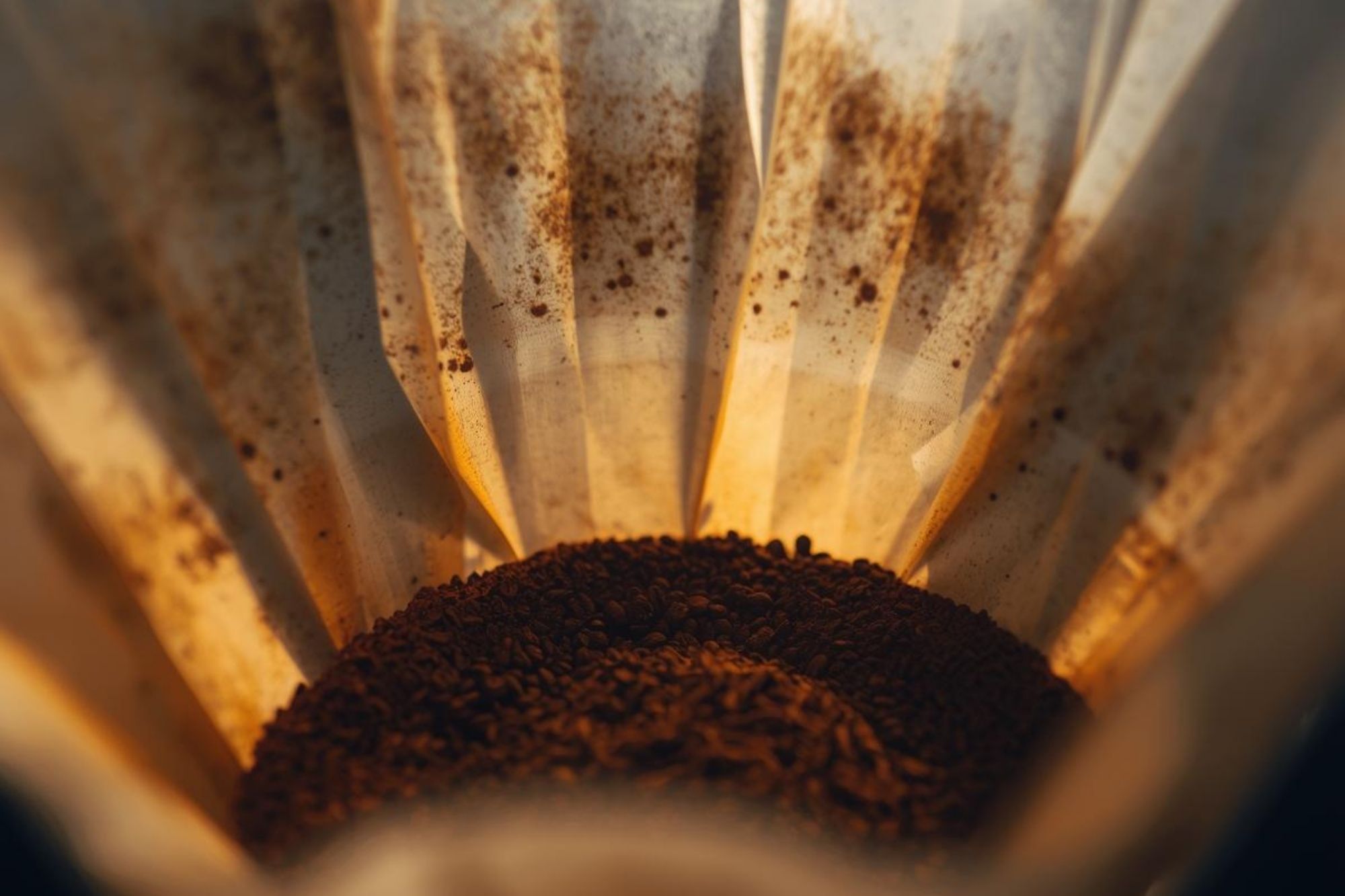 A close-up photo of coffee grinds in the filter